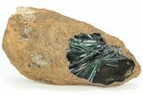 Emerald-Green Vivianite Crystals in Phosphatic Nodule - Brazil #218264-4